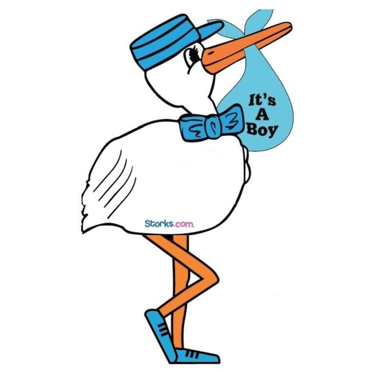 Boy Stork Sign