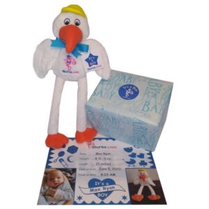 Stork Boy Certificate Box