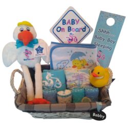 Baby Bath Gift Basket for Boys