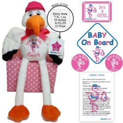 It's a GIRL Plush Stork Package Personalized
