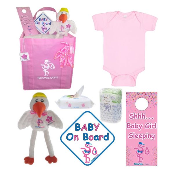 Pink Bodysuit Basics Gift Bundle for Girls