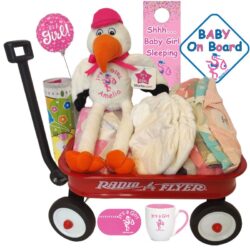 Welcome Wagon Gift Bundle for Girls