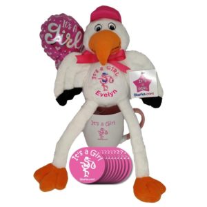 Stork Hospital Gift Girl Personalized
