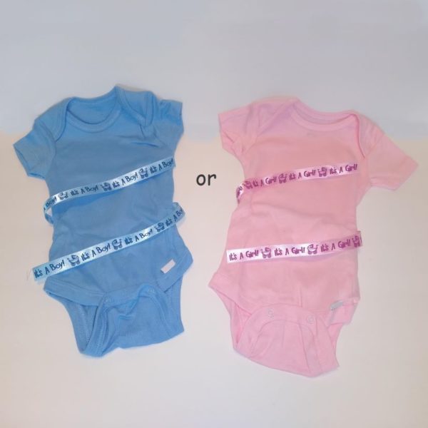 Gender Reveal Bodysuits and Ribbon