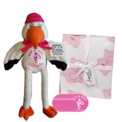 Stork n Pink Bear Plush Blanket Gift for Girls