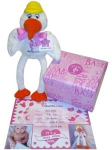 Girl Stork Certificate Gift Box