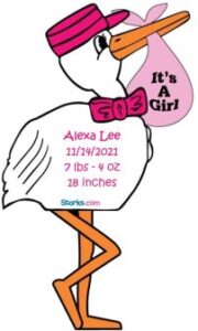 Stork Sign for Baby Girl
