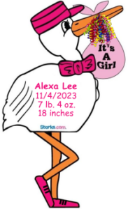 Personalized Stork Sign Baby Girl