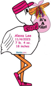 Girl Stork Signs front