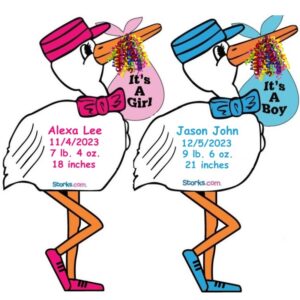 It's a Girl and It's a Boy Storks Signs