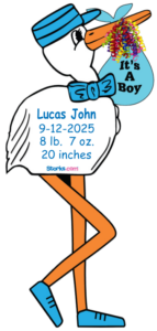 Stork Sign Boy Personalized Large