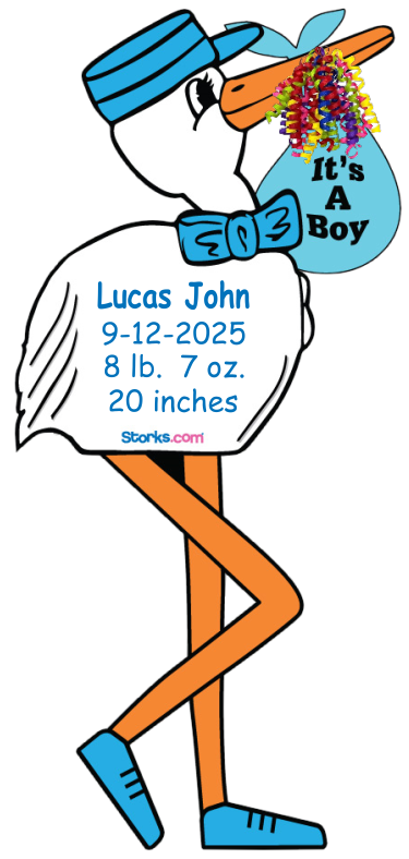 Stork Sign Boy Personalized Large