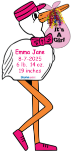 Stork Sign Girl Personalized Large