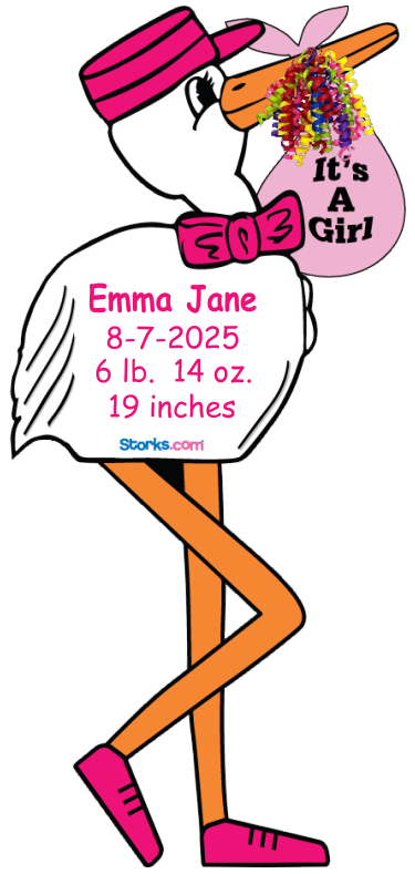 Stork Sign Girl Personalized Large